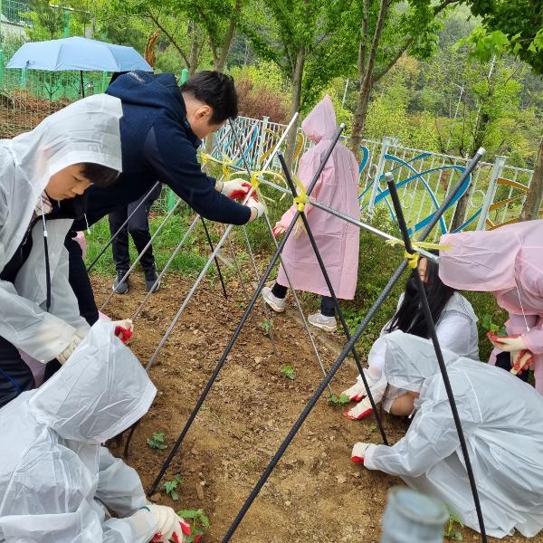 제로웨이스트 활동- 수세미 기르기 프로젝트