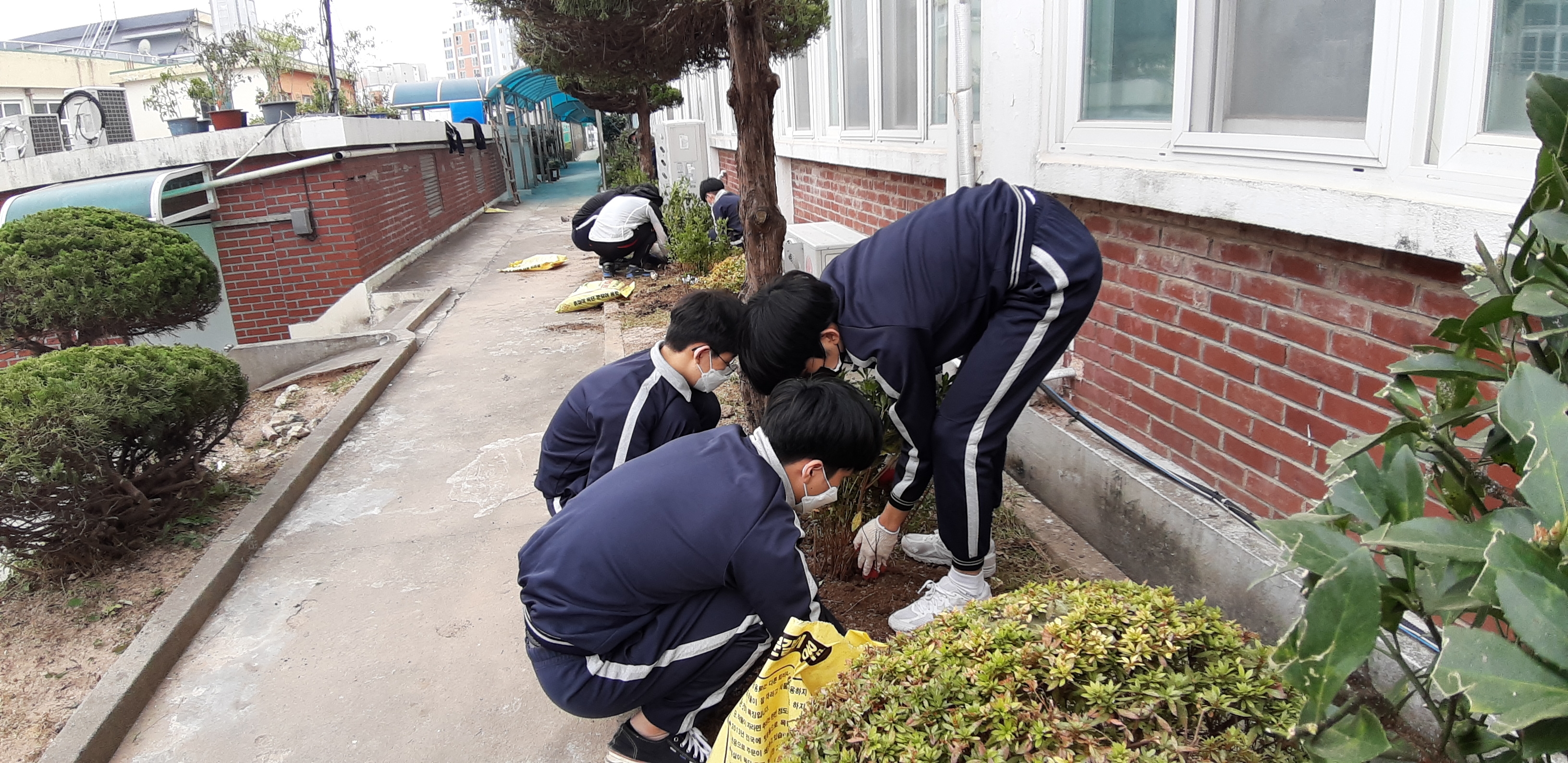 학교 나무심기 및 수목관리 프로그램 사진 9 (2).jpg