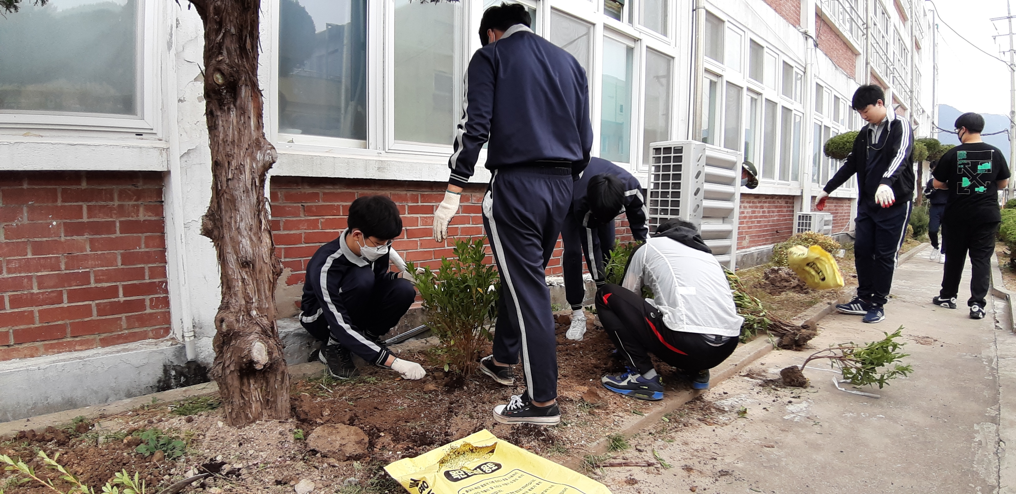 학교 나무심기 및 수목관리 프로그램 사진 2.jpg