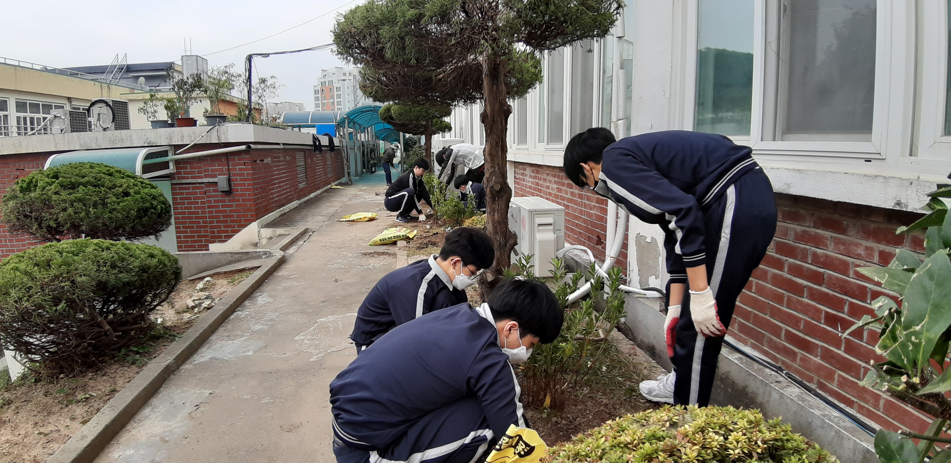 학교 나무심기 및 수목관리 프로그램 사진 7.jpg