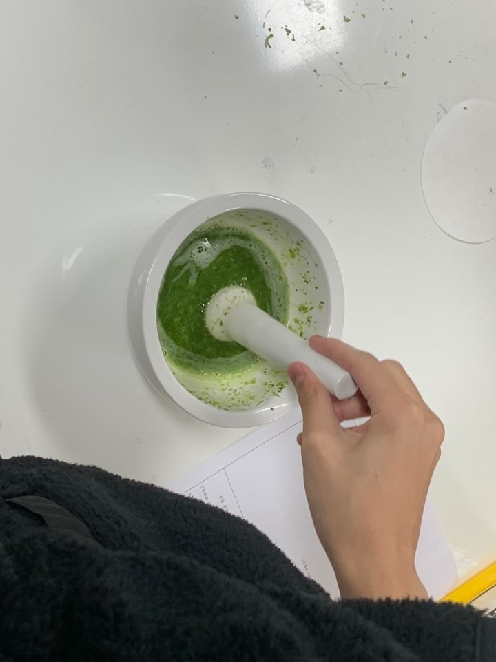 11.6 브로콜리 DNA 추출