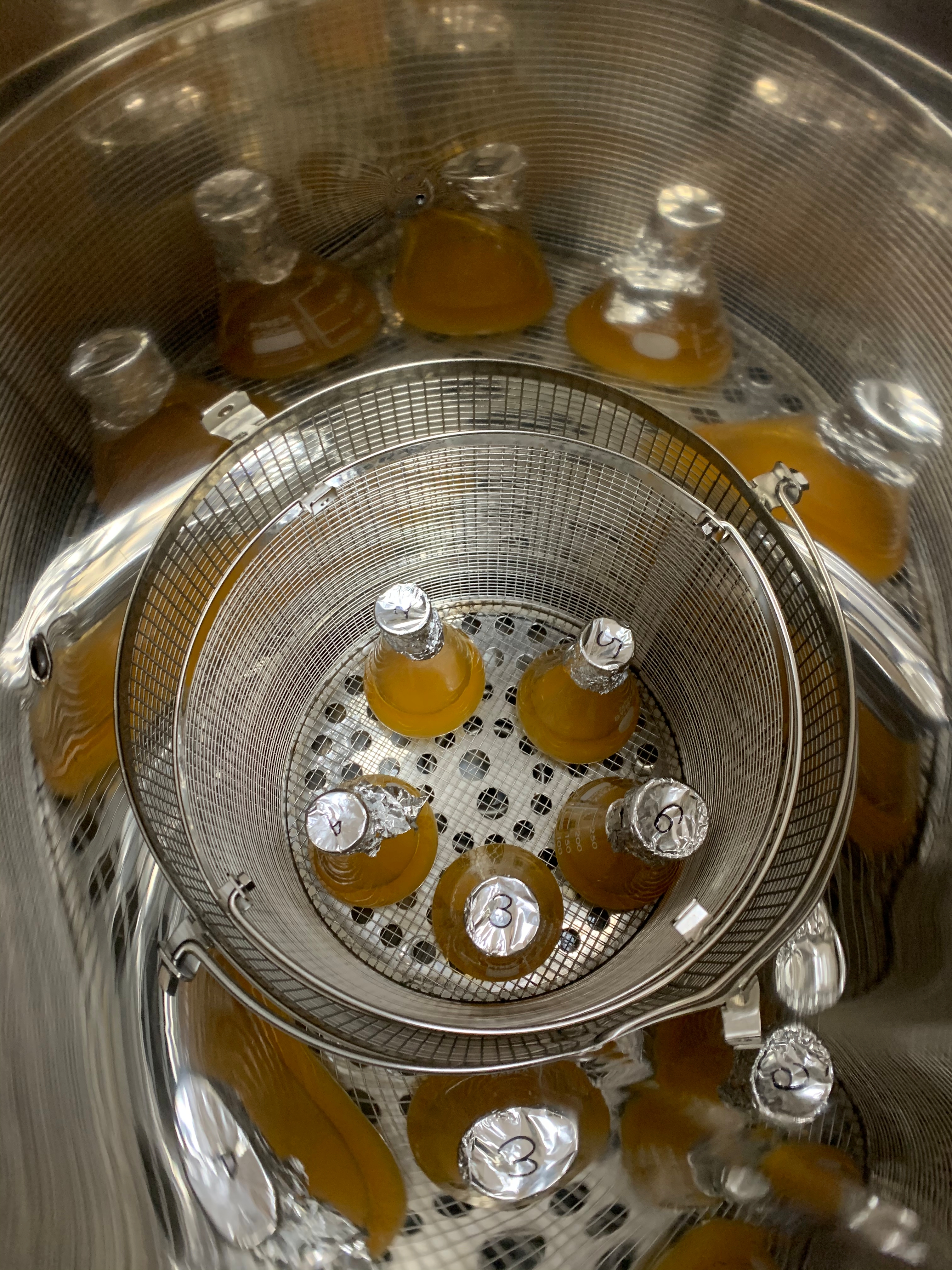 6.4 배지 실험 마무리