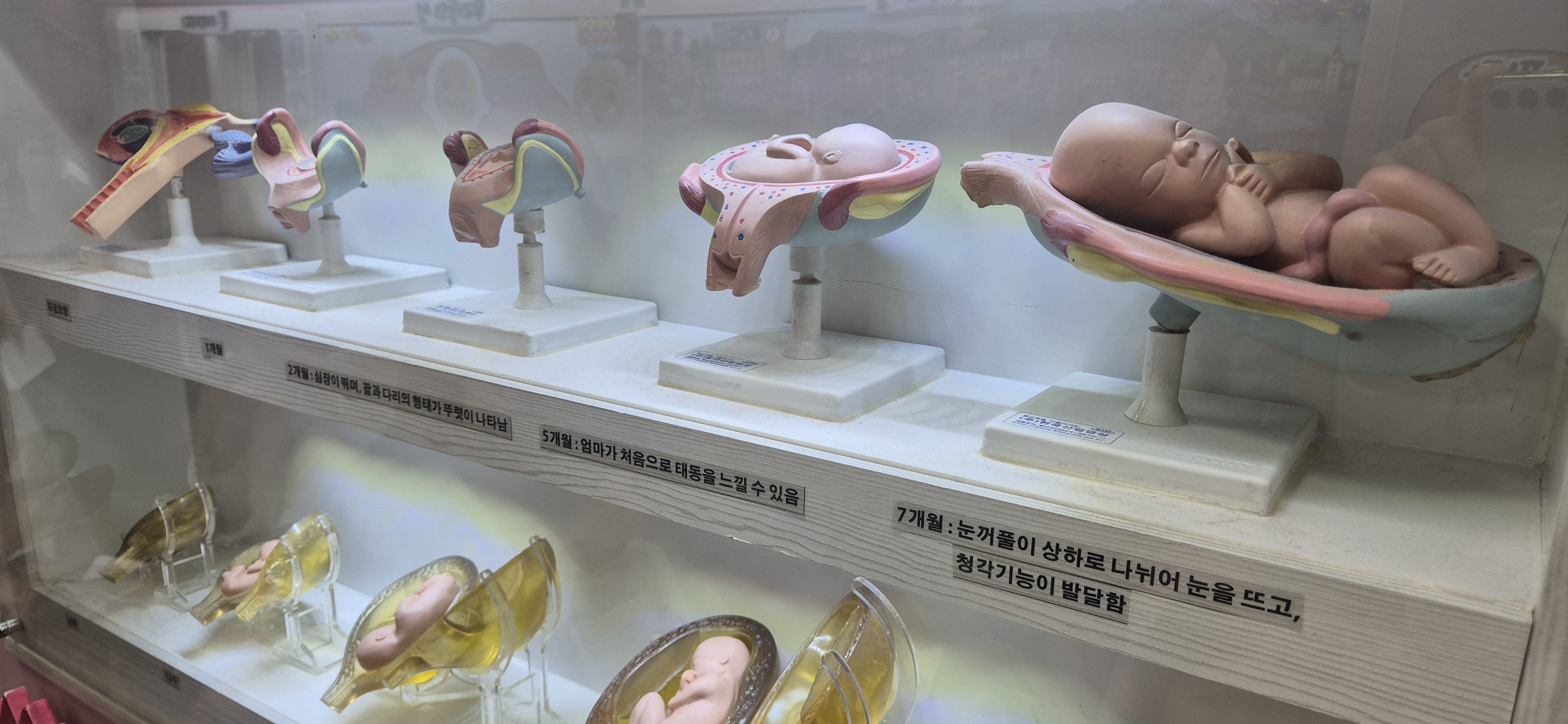 아이성큼 (2).jpg