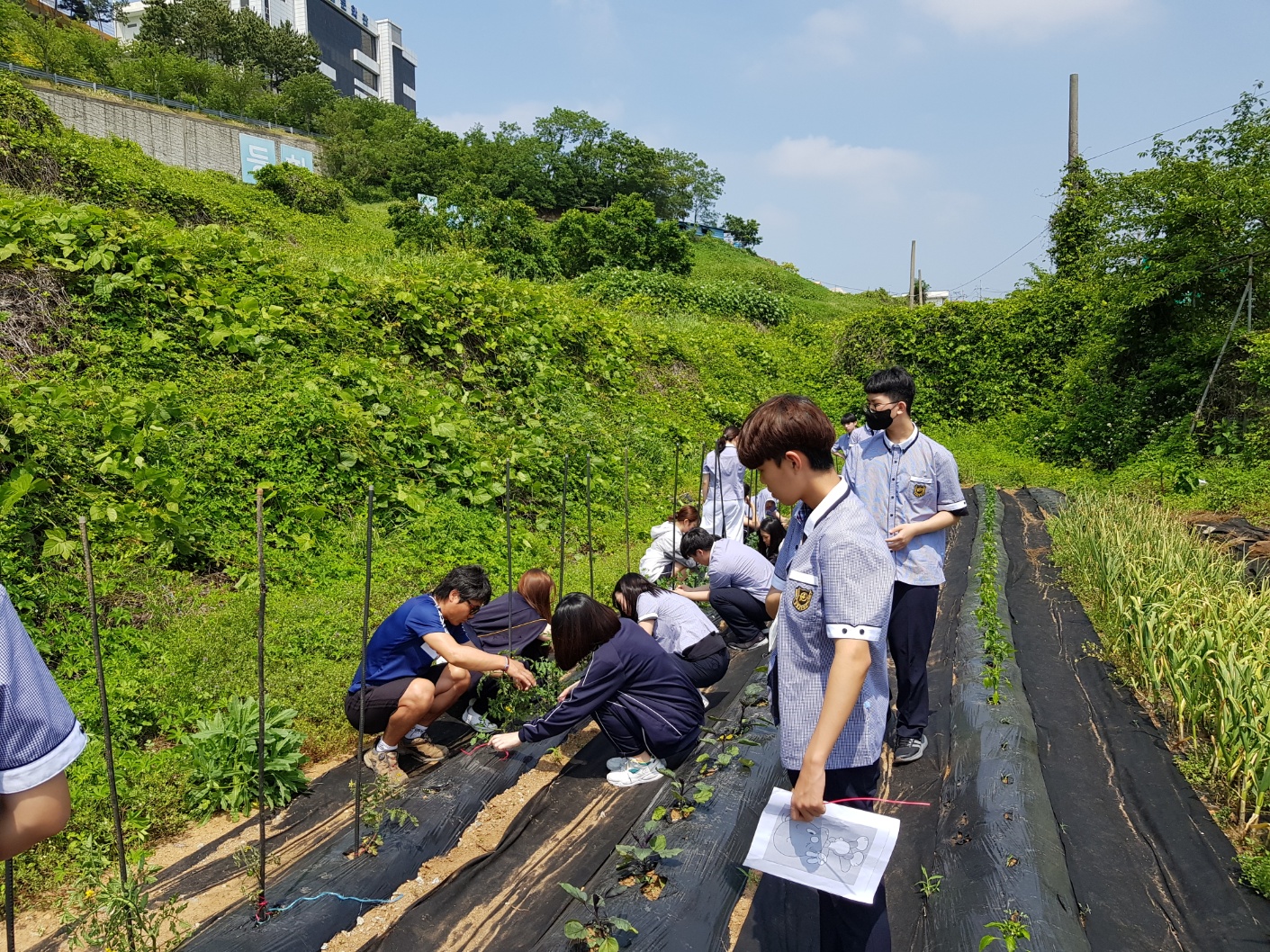 마음을 가꾸는 농장2.jpg