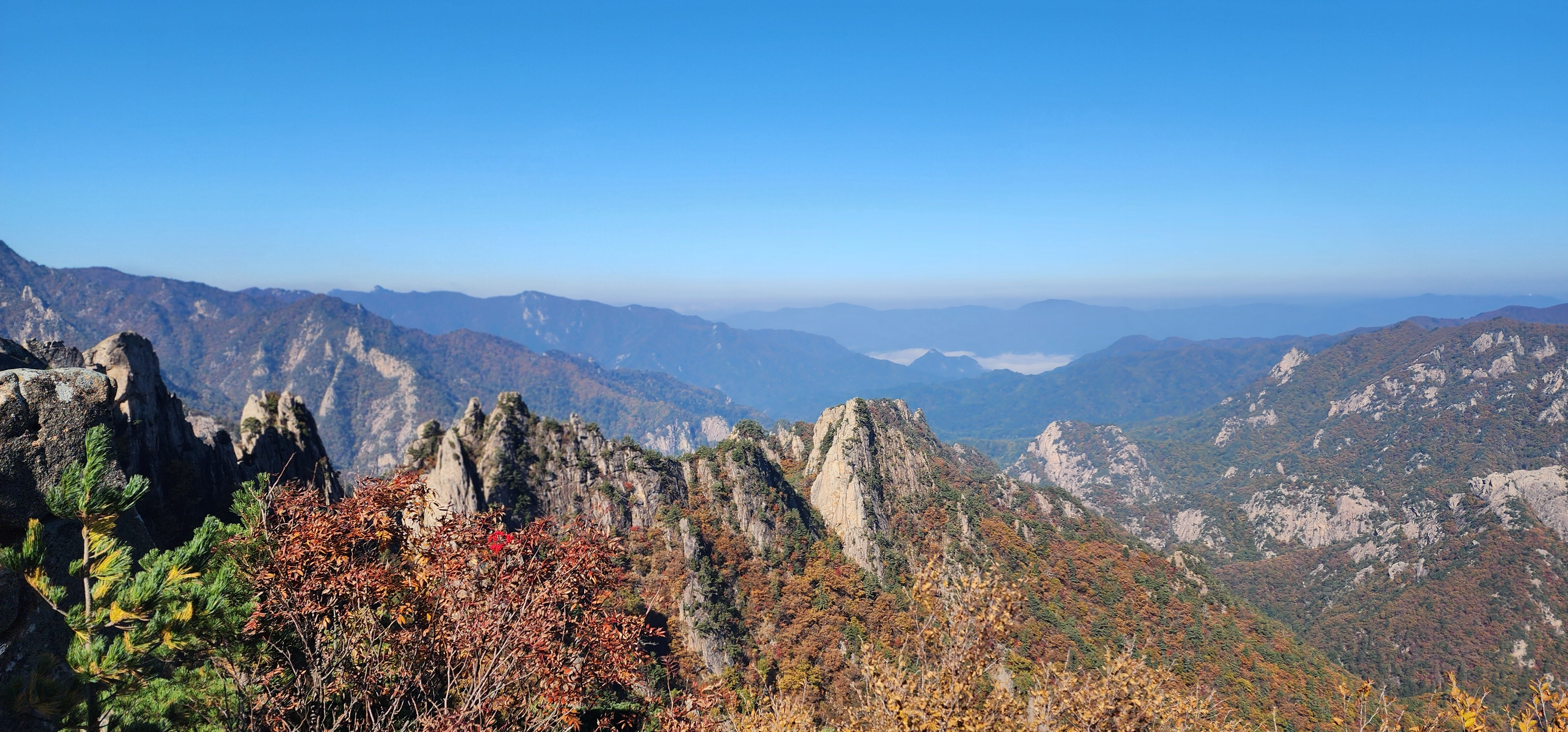 IMG_090512.png