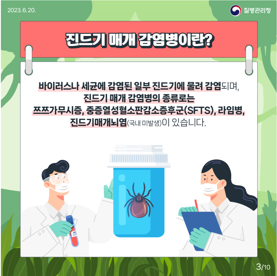 진드기3.png