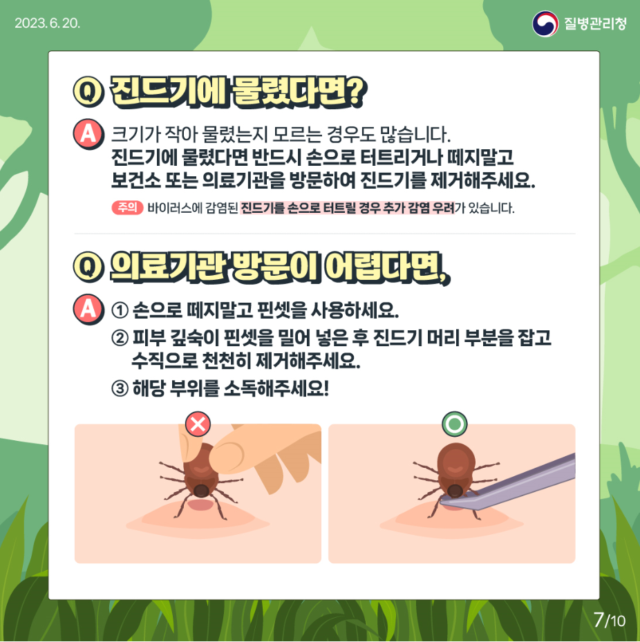 진드기7.png