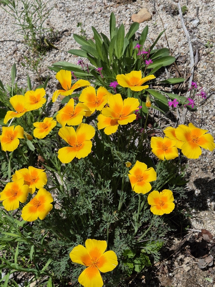 2025. 4월 학교 풍경